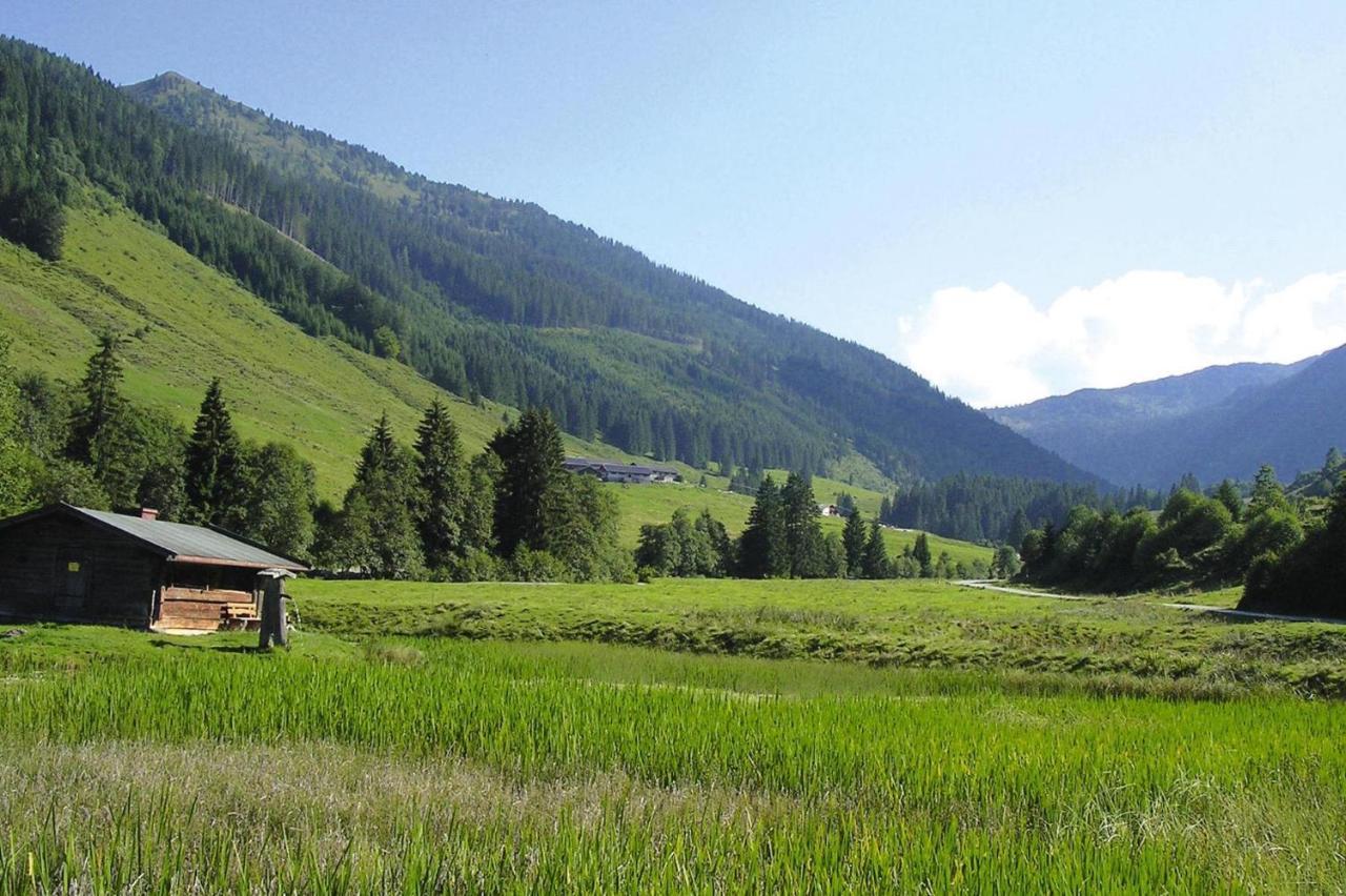 Apartments Schatzberg-Haus, Wildschoenau-アウフファッハ エクステリア 写真